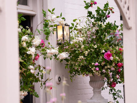 Sustainable Wedding Floristry Tips for Seasonal Arrangements in Kent and Surrey