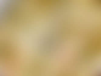 Vegan Lasagna with TVP