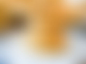 Oat Tahini and Dates Cookies