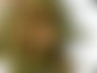 Crispy Green Beans with za'atar, toasted hemp hearts, and almonds