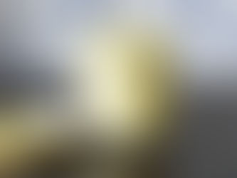 How to make Vegan Mayo