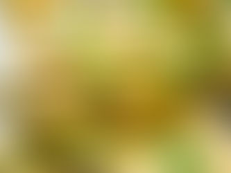 Creamy Mushroom Spinach Crepes