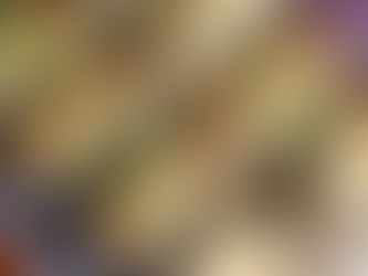 Oven Baked Easy Vegan Tacos