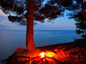 Healing with Energy Medicine, Shamanism and NLP