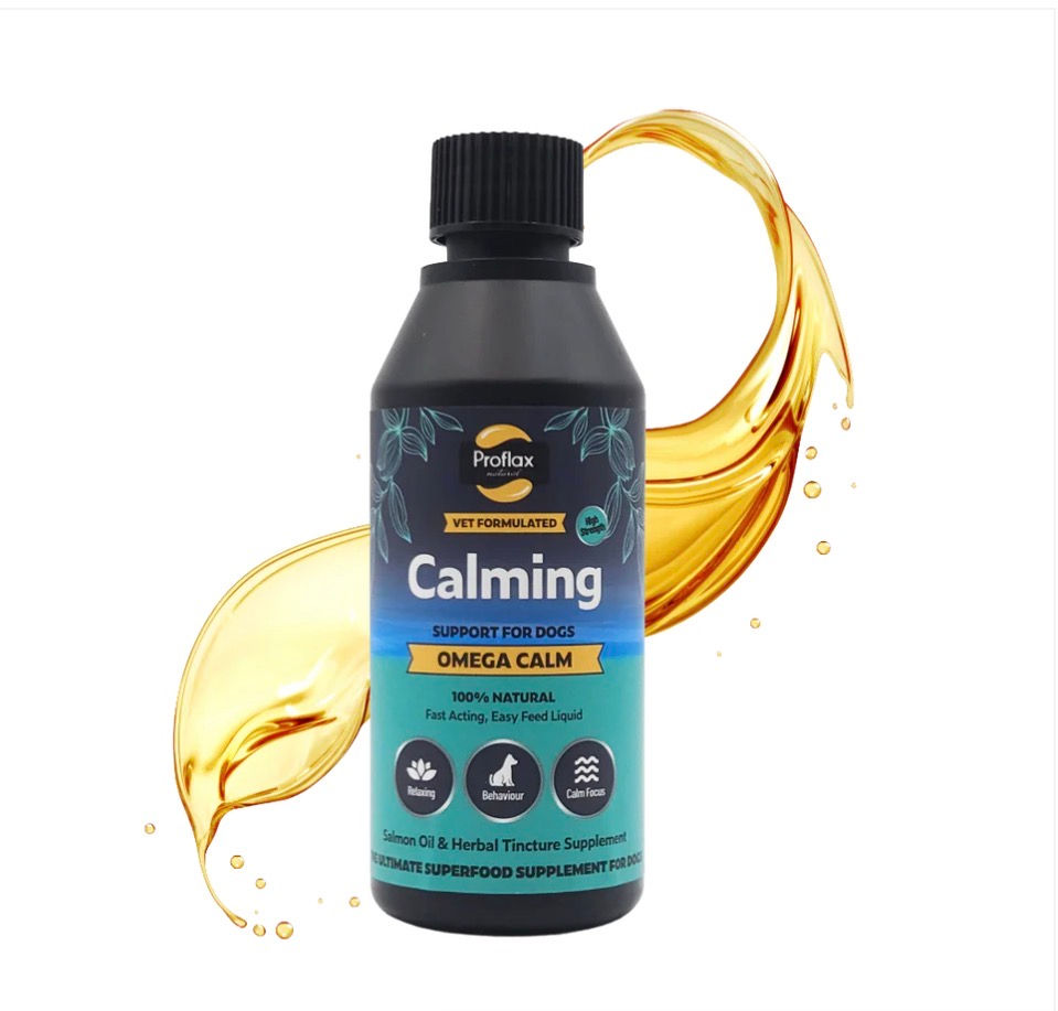 Calming Salmon Oil for Anxious Dogs 100ml