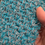 Thumbnail: Blue Dish Scrubby