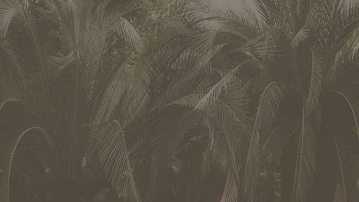 Header (10).png