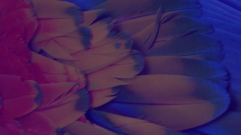 Untitled design (3).png