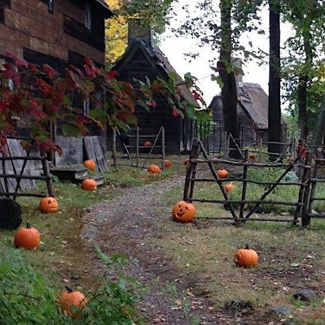 pioneer_village-g861yT.tmp_-e1754929445800-2NOsv0.jpg