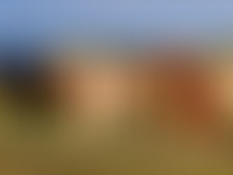 Countries relaxing COVID entry protocolsÂ