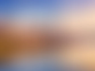 Must-See Spring Blooms