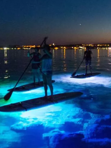 Screen Shot 2022-02-09 at 11.03.15 PM.png