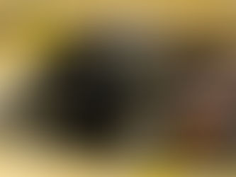 How to Experience Unmatched Elegance: LAX Luxury Services