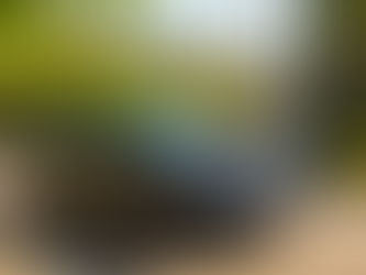 What You Need to Know Before Booking Black Car Service in Los Angeles