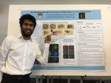 Anuroop Wins Undergraduate Poster Award