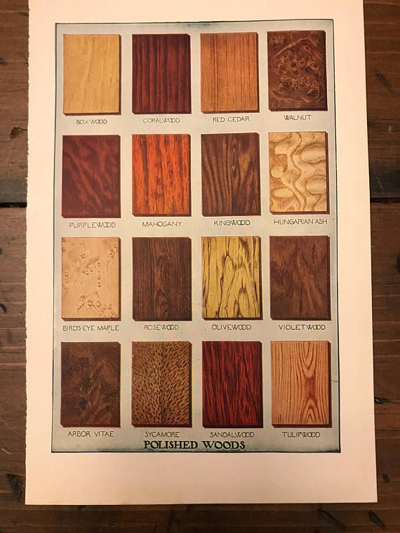 Vintage Print Wood Types, Polished Wood, Wood Identification, Book