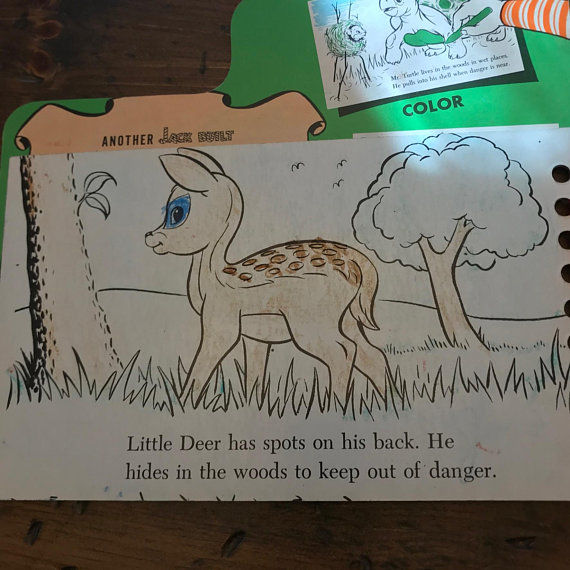 Thumbnail: 1950s Coloring Book, Coloring Board Book, Vintage Forest Animals Book