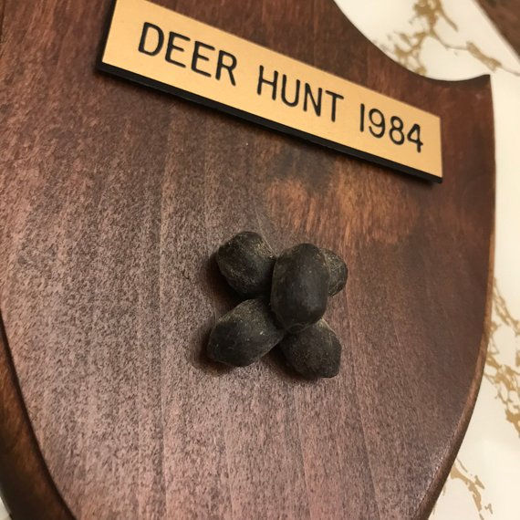 Thumbnail: Deer Hunt Plaque, 1984, Deer Poop Trophy, Funny Gift, Gag Gift, Hunter Gift