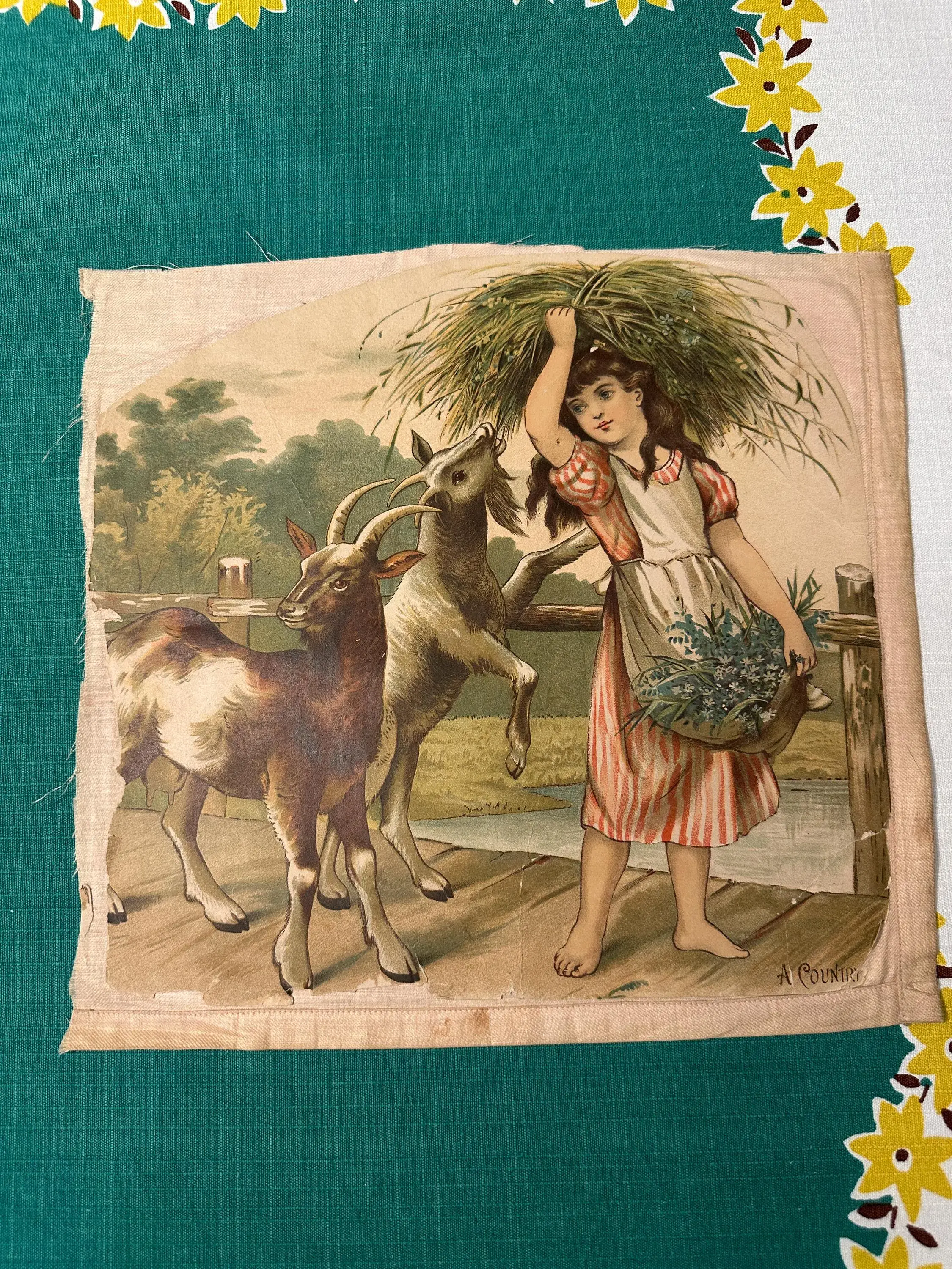 Antique Print, Antique Scrapbook page, Girl with Goats, Baby Ducklings (AR-A288)