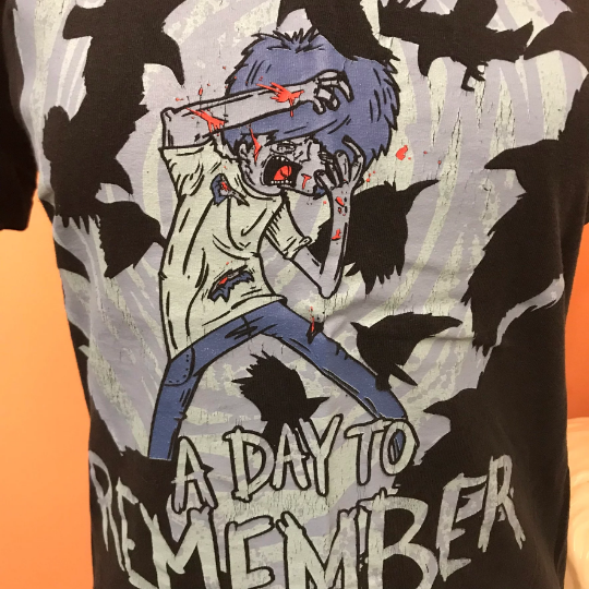 Thumbnail: A Day to Remember Tshirt, Out to Get Me, Homesick, Crow, Black Bird Attack