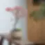 11.webp