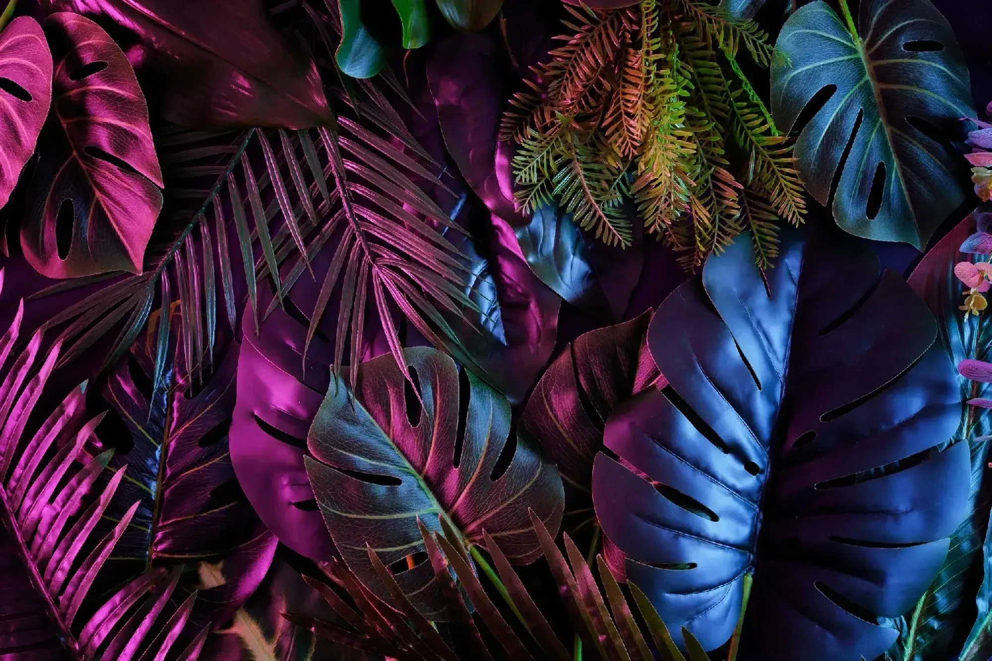 tropical-dark-trend-jungle-neon-illuminated-lighting-exotic-palms-plants-retro-style_12459