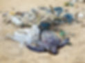 Ghost Nets.jpg