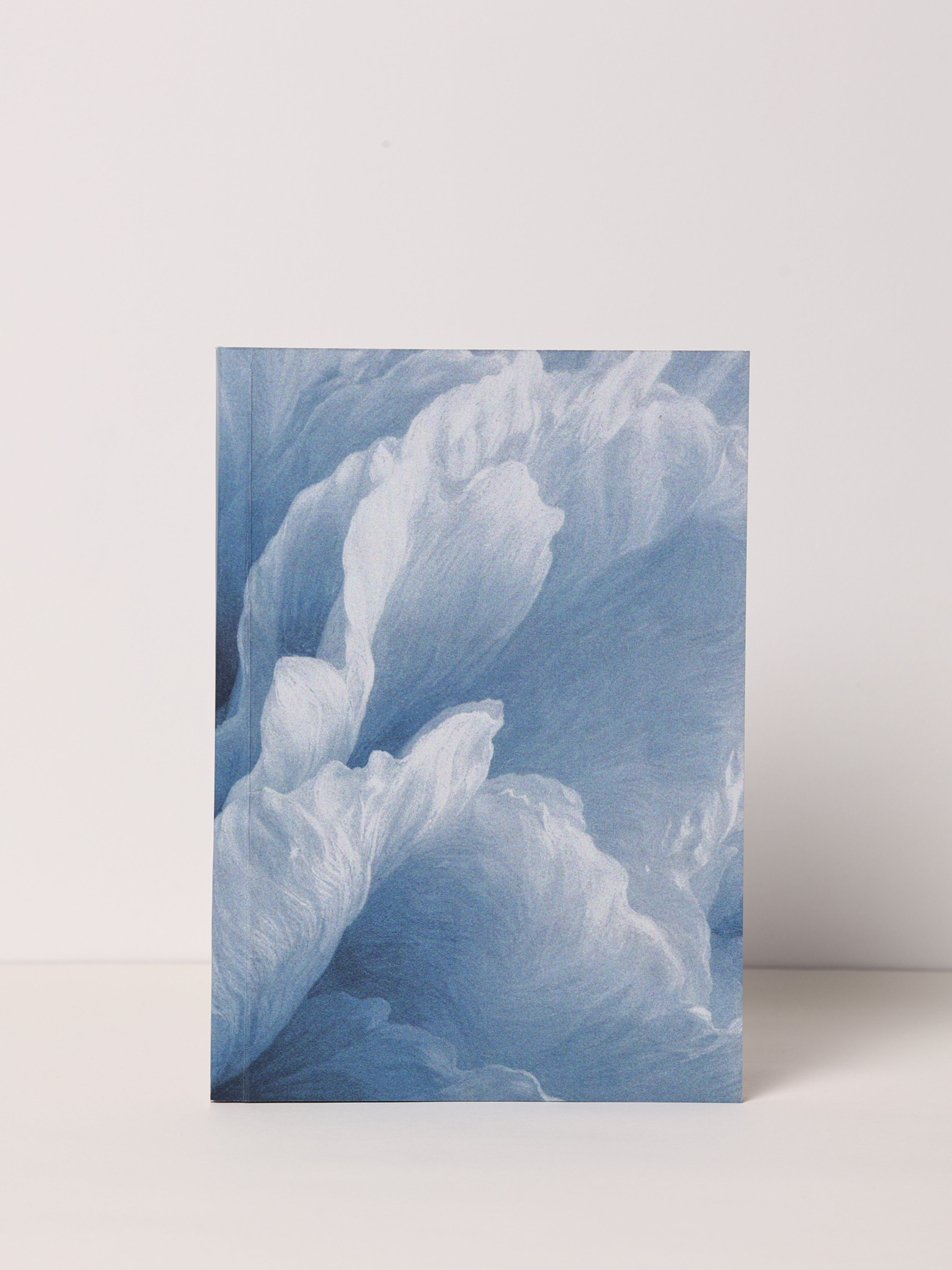 The Blues Notebook