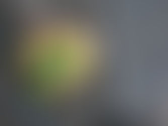 Tartine avocat, guacamole maison et graines de tournesol