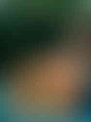 Une nouvelle recette sans gluten du blog de cuisine végétarienne et de cuisine vegan radis et compagnie : un cake sans gluten aux légumes et aux graines de tournesol. La farine de pois chiche et les légumes donnent un cake léger et sans gluten pour les apéros healthy de cet été. Une recette végétarienne (adaptable vegan) healthy et saine pour un cake sans gluten. une recette vegan et healthy