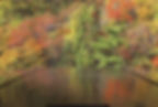 takinoya_lj003-autumn.jpg