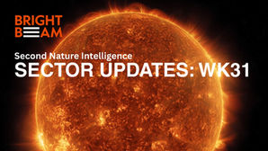 Image of burning sun with text overlay Sector Updates: WK31