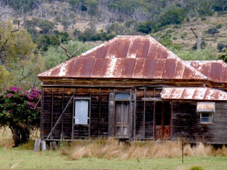 In the Southern Wild