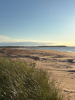 Profitt's Point Beach