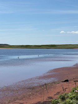 Darnley Basin Beach
