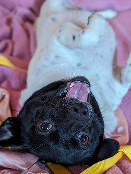 IMG_4191 (1)_edited.jpg