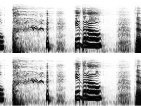 Bring down the Noise 