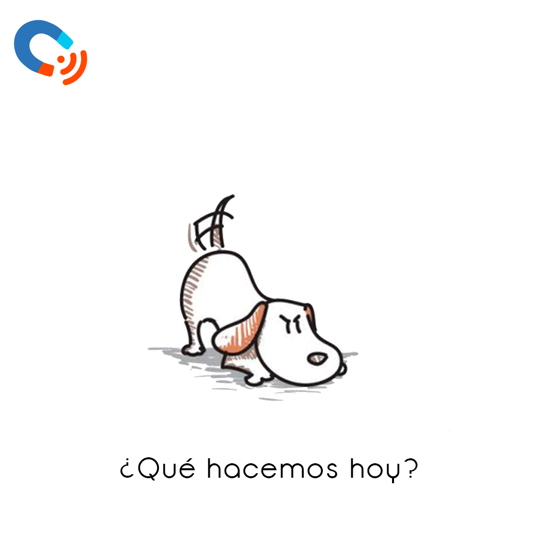Día del perro