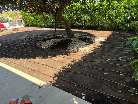 Manutenzione Verde e Pulizia Grondaie Condominio Roma 2025