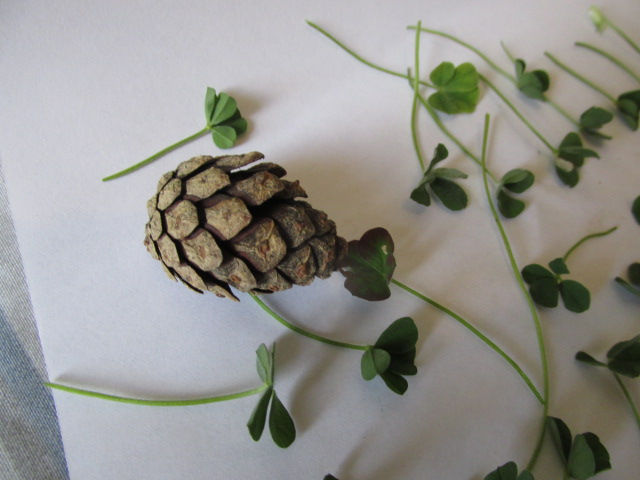 and shit happens. shit happens all the time, just need to grow some mushrooms or