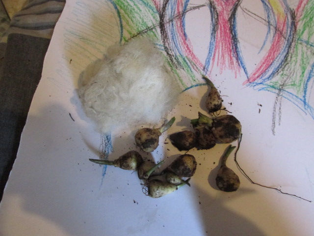 no iam not the devil, yes you can find everything on the internet, swear words a