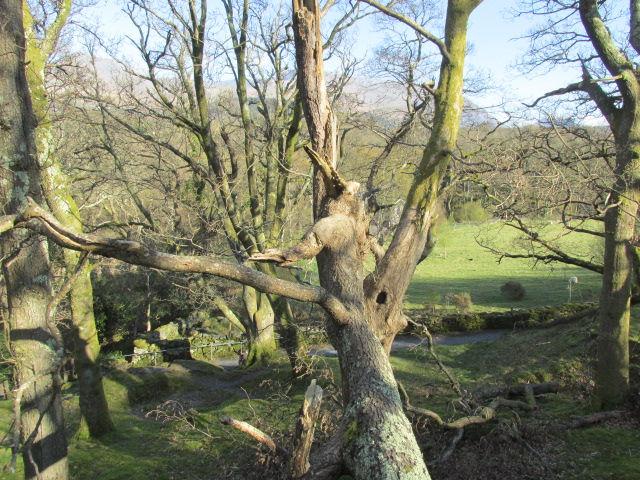 Thumbnail: thisis what's happening   https://www.youtube.com/watch?v=9s8yy_QPecU