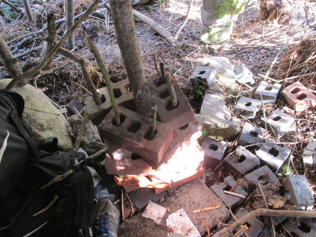 Thumbnail: i m8k sp00ns onA planetA l00ns, wAnA get pAid s00n, cm00n, wAnA buy d00m, don't