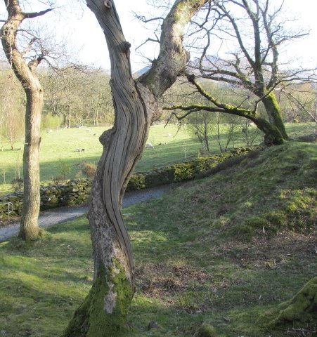 Thumbnail: thisis what's happening   https://www.youtube.com/watch?v=9s8yy_QPecU