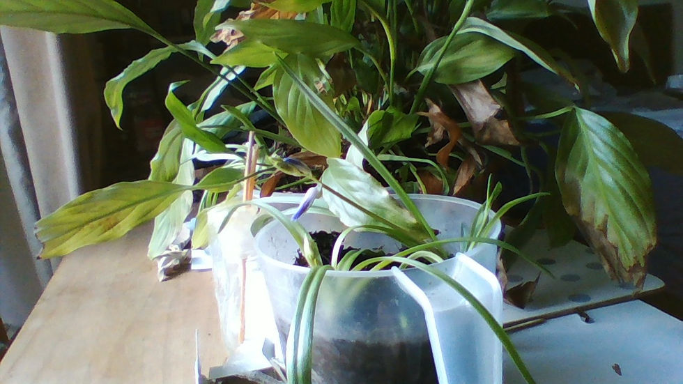 please advance to the next level of this game in the description link below wtvr