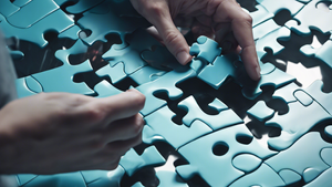 Innovative HR Solutions: Albatross Consulting Approach