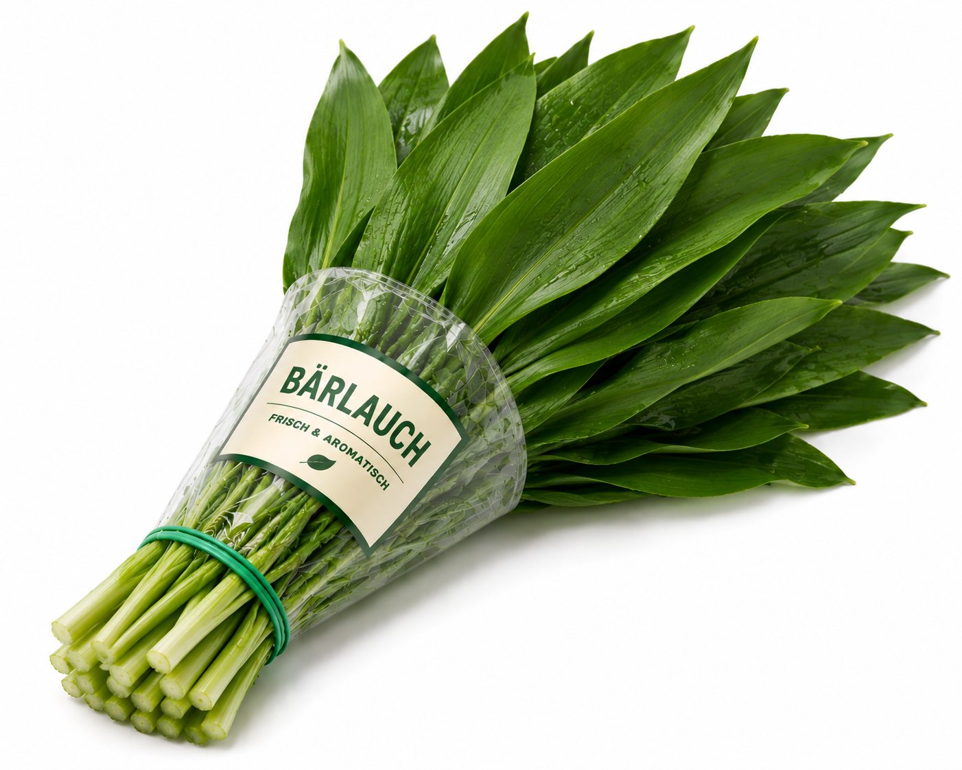 Bärlauch  Bund