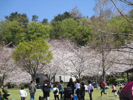 交通事故