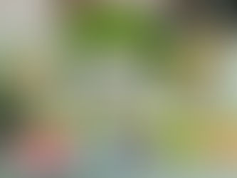 Capybara 'n' Capybara