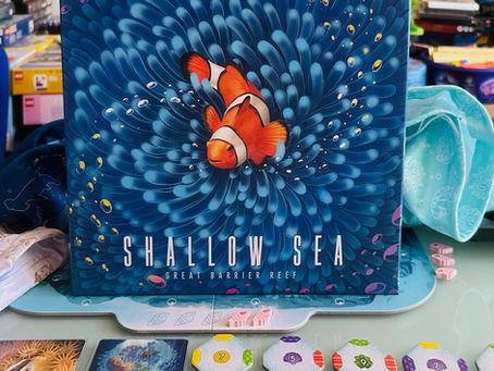 Shallow Sea